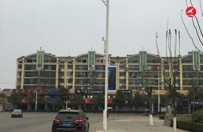 LED智慧路燈ZX5407應(yīng)用圖3